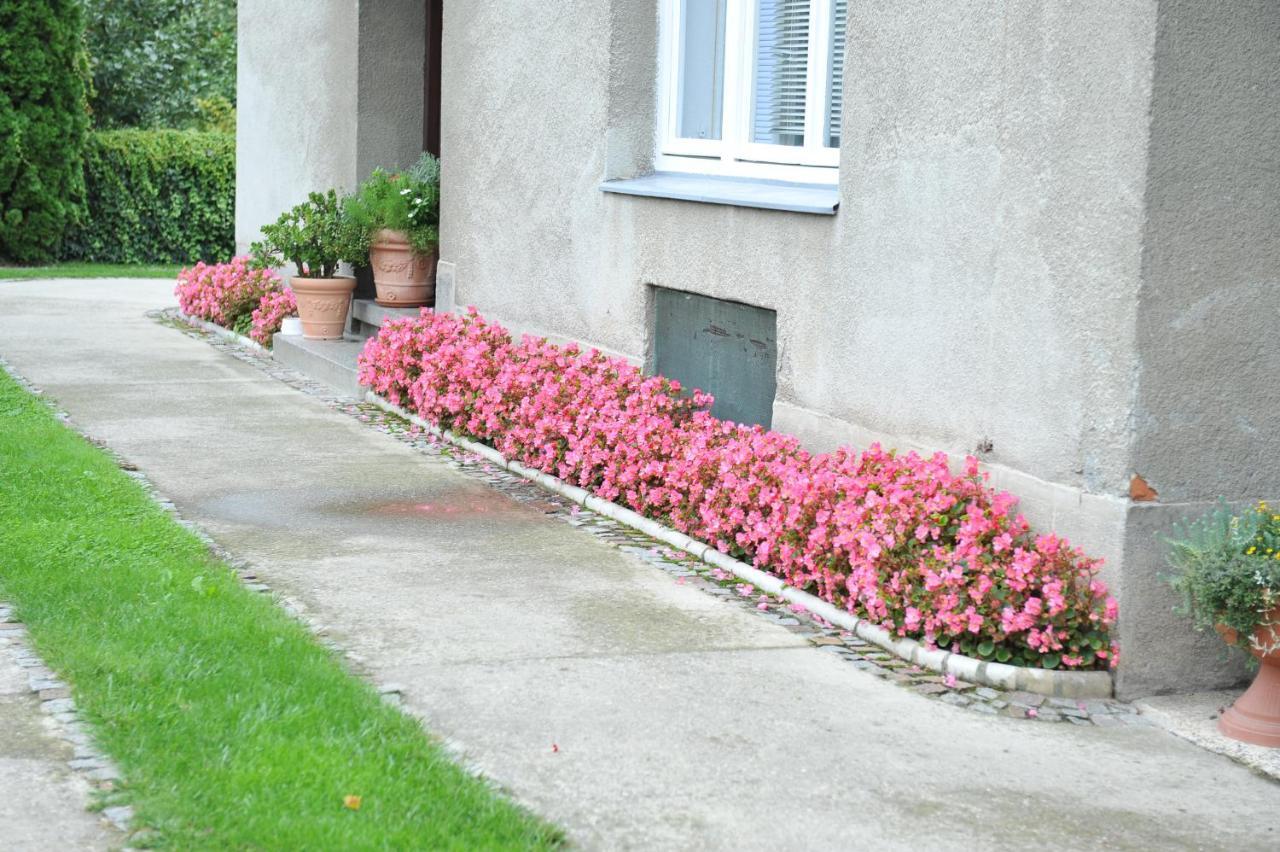 Studio Apartman D&D Varaždin Extérieur photo